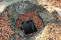 Rostoczek 11.2008 289